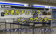 `ʃ`FbNCJE^[